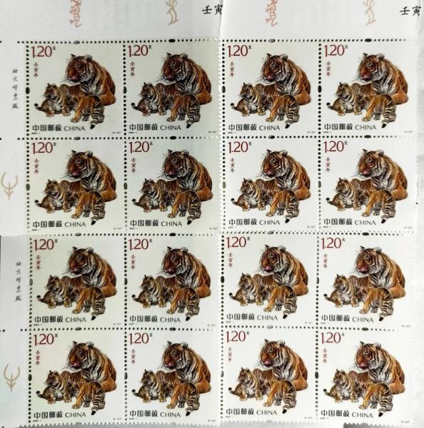 2022属相属什么生肖（2022年属什么生肖农历🐯？）