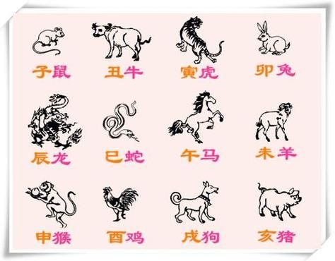 斤的属相是什么生肖（斤对应的生肖是什么动物？）